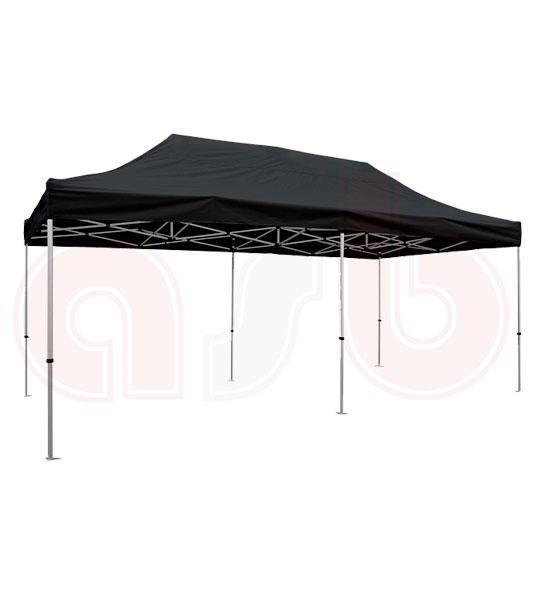Carpa 3x6